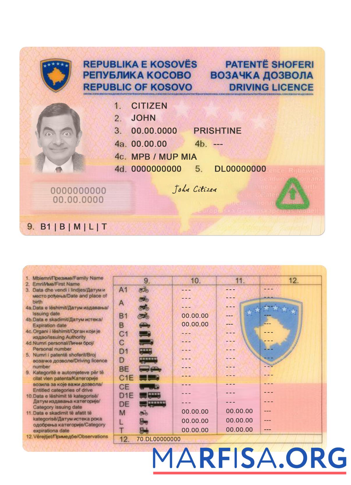 Printable Kosovo driving license real example